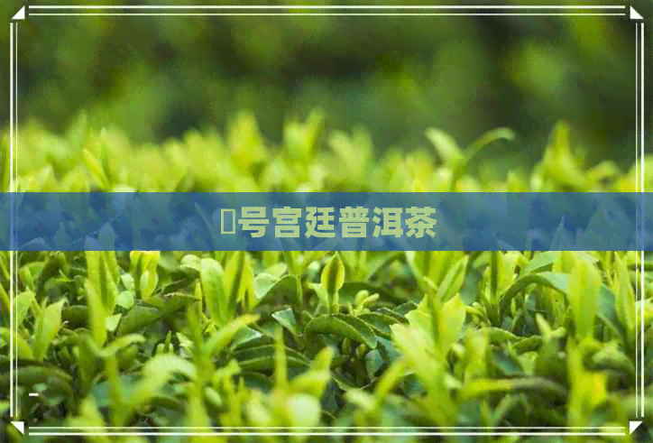 瑨号宫廷普洱茶