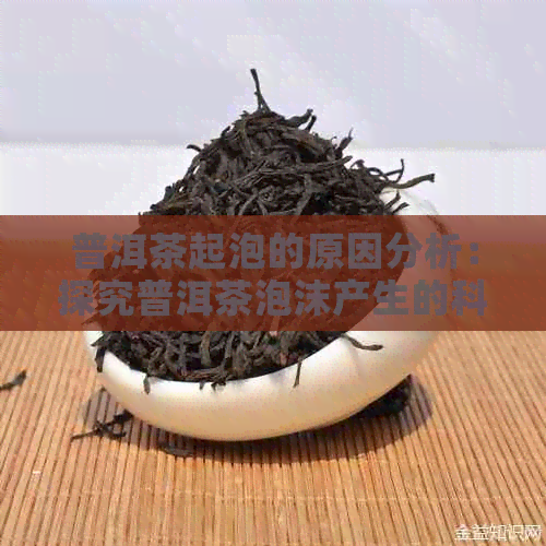 普洱茶起泡的原因分析：探究普洱茶泡沫产生的科学原理