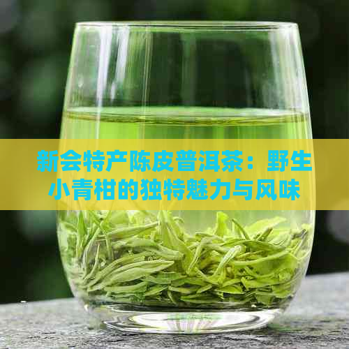 新会特产陈皮普洱茶：野生小青柑的独特魅力与风味