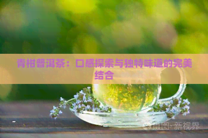 青柑普洱茶：口感探索与独特味道的完美结合