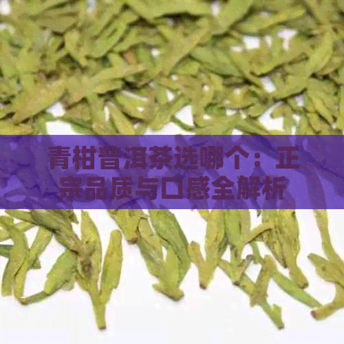 青柑普洱茶选哪个：正宗品质与口感全解析