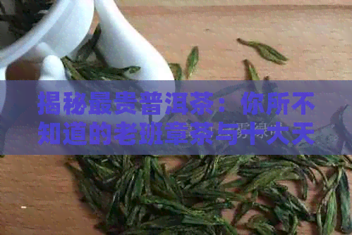 揭秘最贵普洱茶：你所不知道的老班章茶与十大天价茶之一的价格之谜