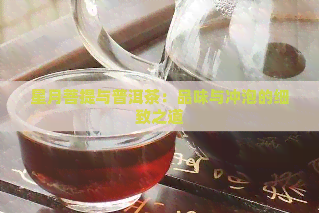 星月菩提与普洱茶：品味与冲泡的细致之道