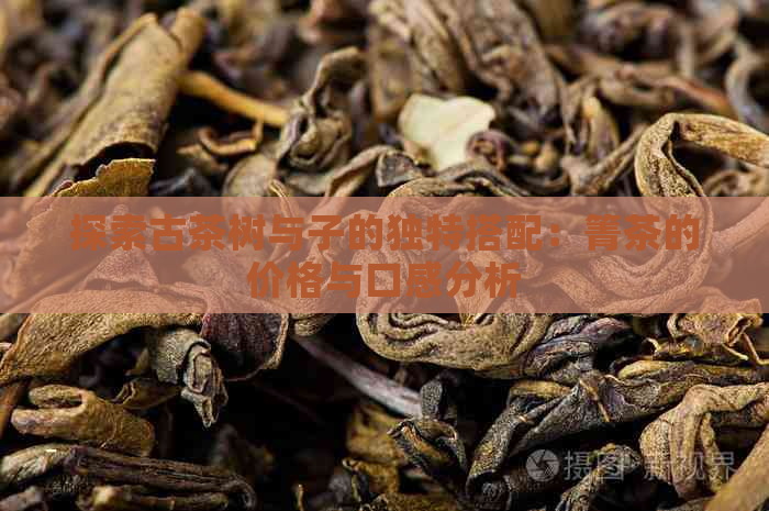 探索古茶树与子的独特搭配：箐茶的价格与口感分析
