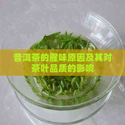 普洱茶的腥味原因及其对茶叶品质的影响