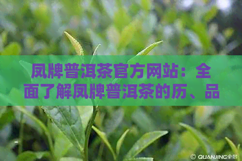 凤牌普洱茶官方网站：全面了解凤牌普洱茶的历、品种、制作工艺和购买方式