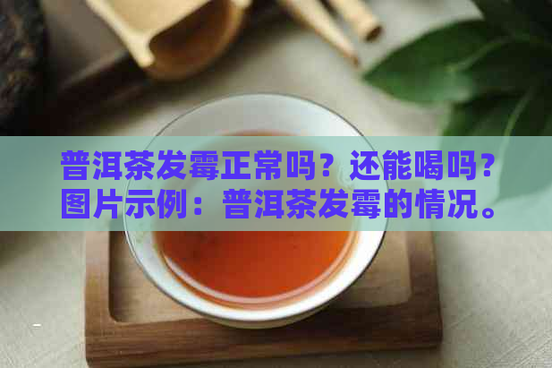 普洱茶发霉正常吗？还能喝吗？图片示例：普洱茶发霉的情况。