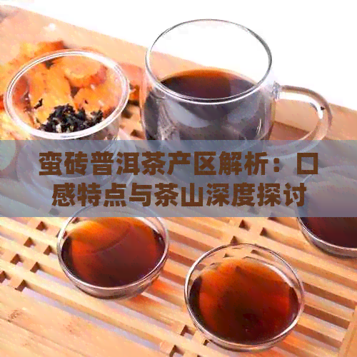 蛮砖普洱茶产区解析：口感特点与茶山深度探讨