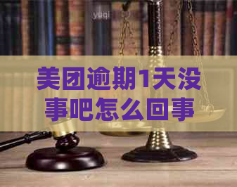 美团逾期1天没事吧怎么回事？关于美团逾期1天的处理方式和后果