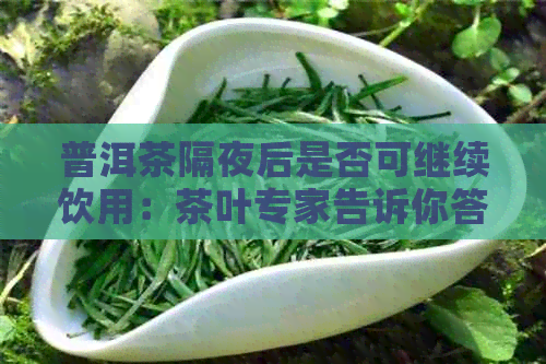 普洱茶隔夜后是否可继续饮用：茶叶专家告诉你答案