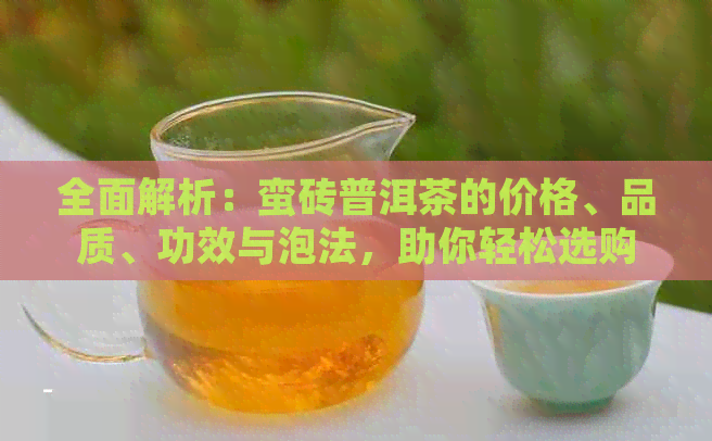 全面解析：蛮砖普洱茶的价格、品质、功效与泡法，助你轻松选购与品鉴