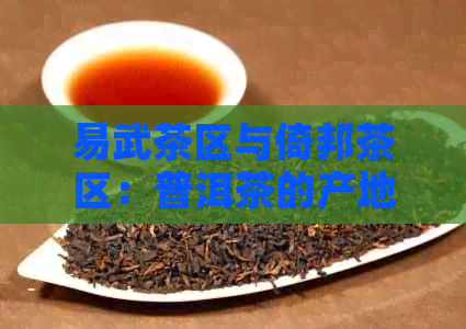 易武茶区与倚邦茶区：普洱茶的产地及其特点对比