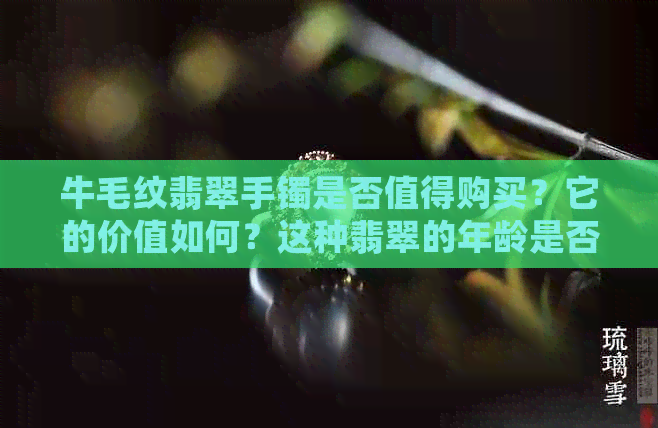 牛毛纹翡翠手镯是否值得购买？它的价值如何？这种翡翠的年龄是否老？