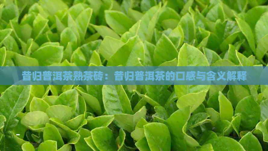 昔归普洱茶熟茶砖：昔归普洱茶的口感与含义解释