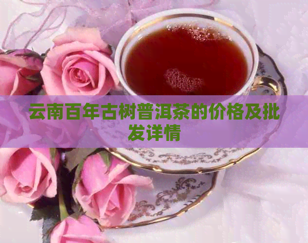 云南百年古树普洱茶的价格及批发详情