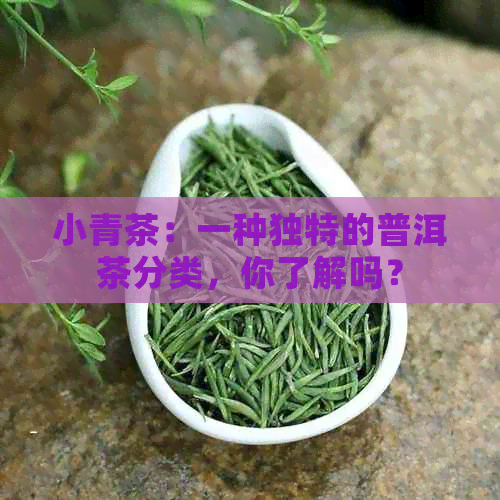 小青茶：一种独特的普洱茶分类，你了解吗？