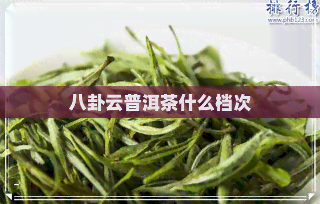 八卦云普洱茶什么档次