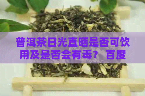 普洱茶日光直晒是否可饮用及是否会有？ 百度百科中有答案吗？