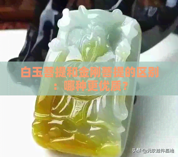 白玉菩提和金刚菩提的区别：哪种更优质？