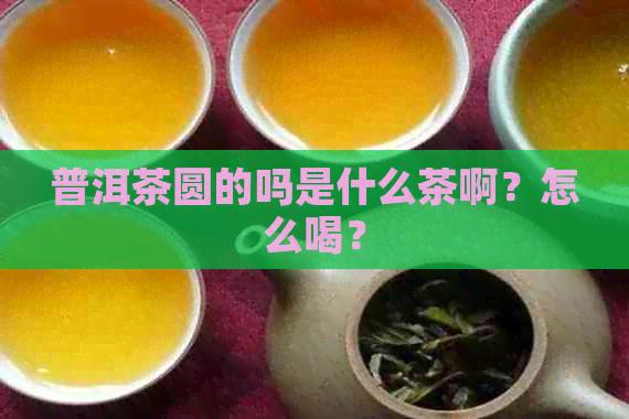 普洱茶圆的吗是什么茶啊？怎么喝？