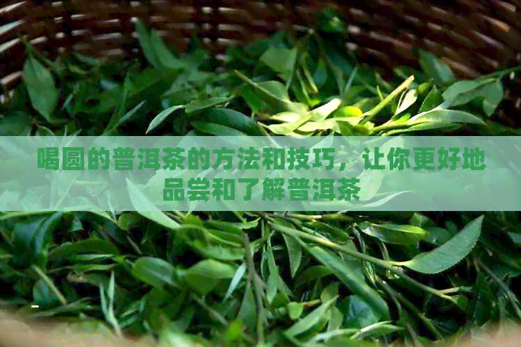 喝圆的普洱茶的方法和技巧，让你更好地品尝和了解普洱茶