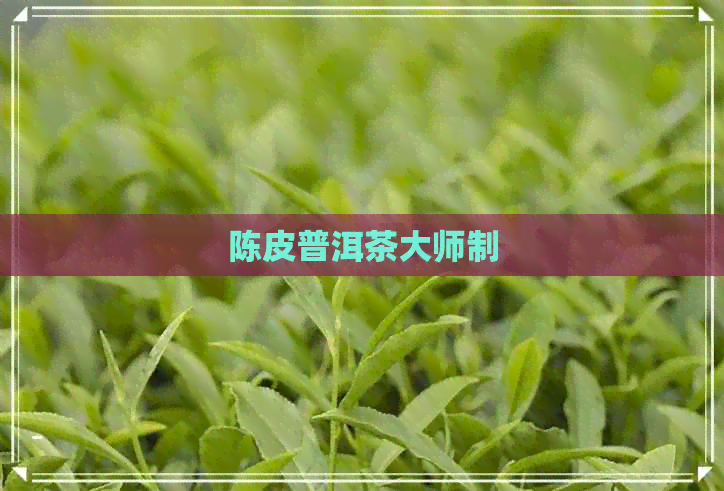 陈皮普洱茶大师制