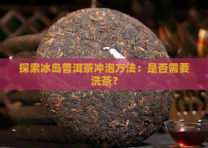 探索冰岛普洱茶冲泡方法：是否需要洗茶？