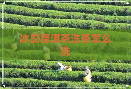 冰岛普洱茶洗茶怎么洗