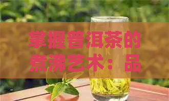 掌握普洱茶的煮沸艺术：品味熟茶的独特风味