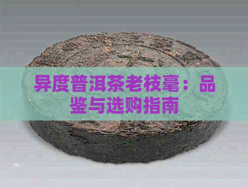 异度普洱茶老枝毫：品鉴与选购指南