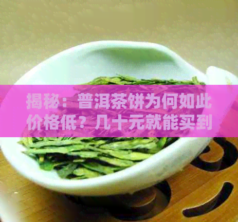 揭秘：普洱茶饼为何如此价格低？几十元就能买到的背后原因是什么？