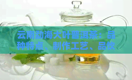 云南勐海大叶普洱茶：品种特点、制作工艺、品饮方法与收藏价值全方位解析