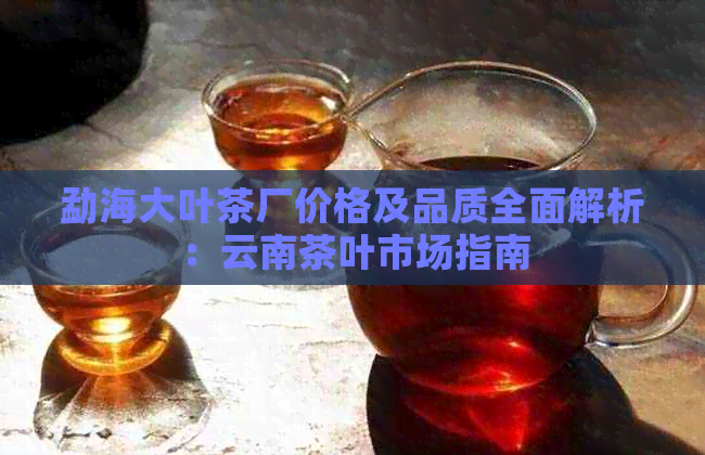 勐海大叶茶厂价格及品质全面解析：云南茶叶市场指南