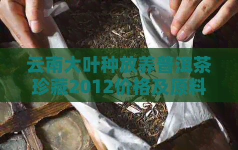 云南大叶种放养普洱茶珍藏2012价格及原料：云南大叶种普洱茶是生茶吗？