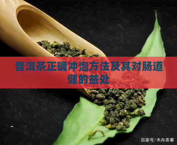 普洱茶正确冲泡方法及其对肠道健的益处