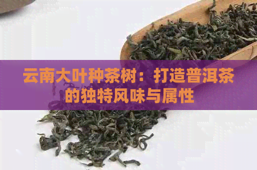 云南大叶种茶树：打造普洱茶的独特风味与属性