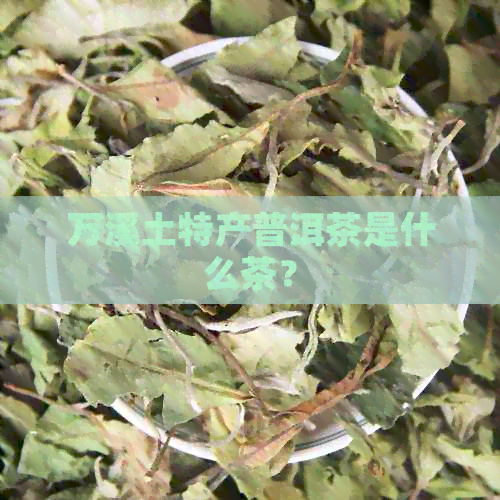 万溪土特产普洱茶是什么茶？