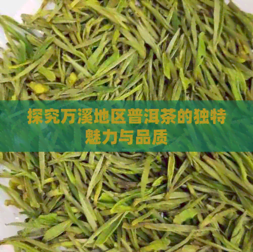 探究万溪地区普洱茶的独特魅力与品质