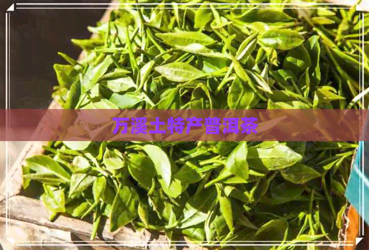 万溪土特产普洱茶