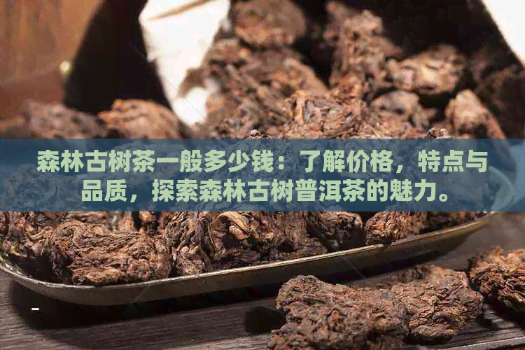 森林古树茶一般多少钱：了解价格，特点与品质，探索森林古树普洱茶的魅力。