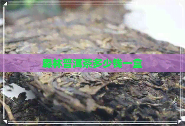 森林普洱茶多少钱一盒