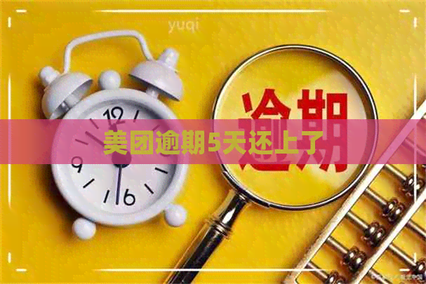 美团逾期5天还上了