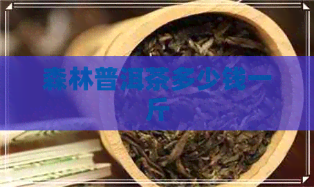 森林普洱茶多少钱一斤