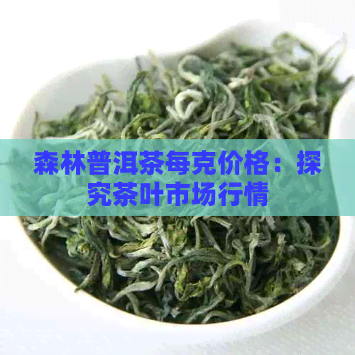 森林普洱茶每克价格：探究茶叶市场行情