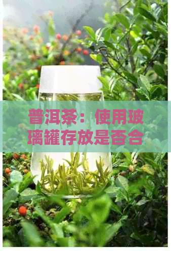 普洱茶：使用玻璃罐存放是否合适？