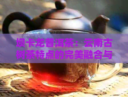 坝卡龙普洱茶：云南古树茶特点的完美融合与传承