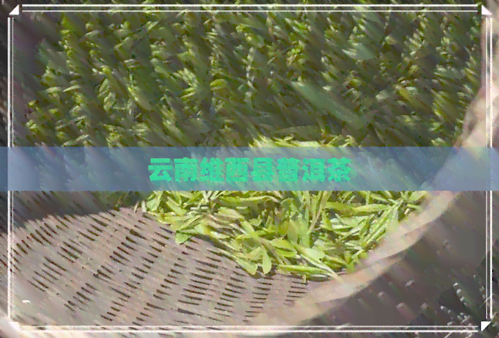 云南维西县普洱茶