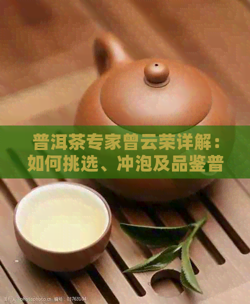 普洱茶专家曾云荣详解：如何挑选、冲泡及品鉴普洱茶的全指南