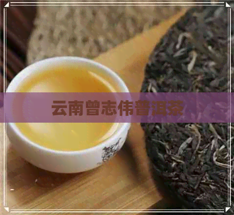 云南曾志伟普洱茶