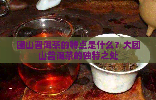 团山普洱茶的特点是什么？大团山普洱茶的独特之处